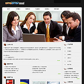 模板网站-企业网站-翻译A12