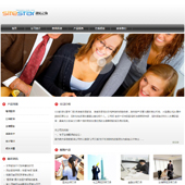 模板网站-企业网站-翻译A28