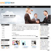 模板网站-企业网站-翻译A35