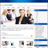模板网站-企业网站-翻译A37