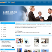 模板网站-企业网站-翻译A42