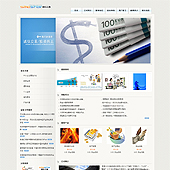 模板网站-企业网站-金融A6