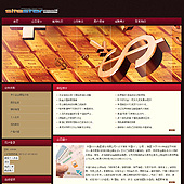 模板网站-企业网站-金融A28
