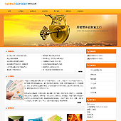 模板网站-企业网站-金融A29