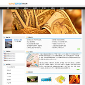 模板网站-企业网站-金融A36
