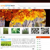 模板网站-企业网站-林业A13