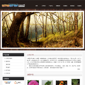 模板网站-企业网站-林业A5