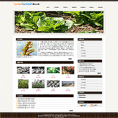 模板网站-企业网站-农业A21