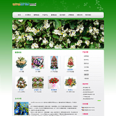 模板网站-企业网站-鲜花A26