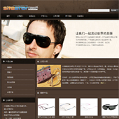 模板网站-企业网站-眼镜A13