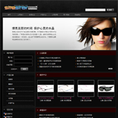 模板网站-企业网站-眼镜A3