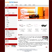 模板网站-企业网站-眼镜A28